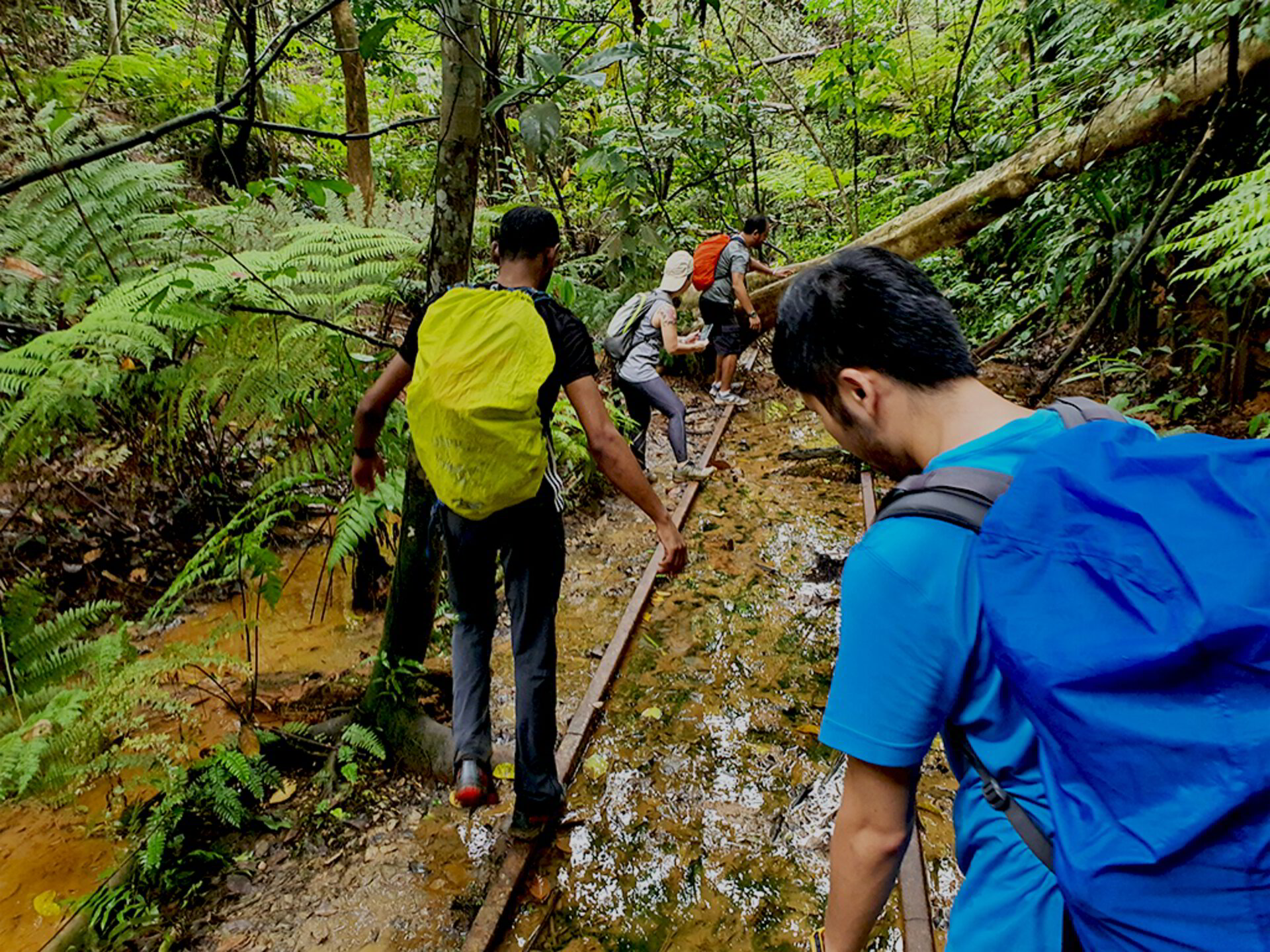 asian men discovering forest in Singapore