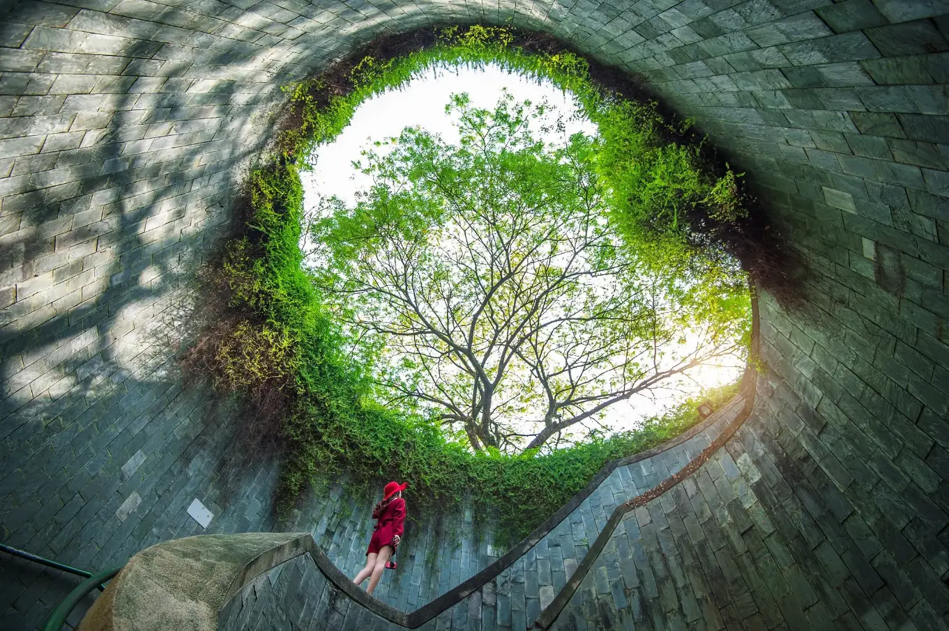 10 Must-Visit Parks and Nature Reserves in Singapore